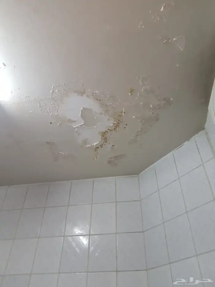 كشف تسربات المياه عزل مائي عزل خزانات 9