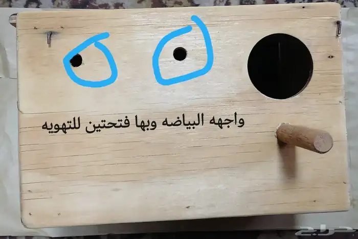 بياضات جديده جودتها ممتازه جدا لطيور الروز والفيشر 0