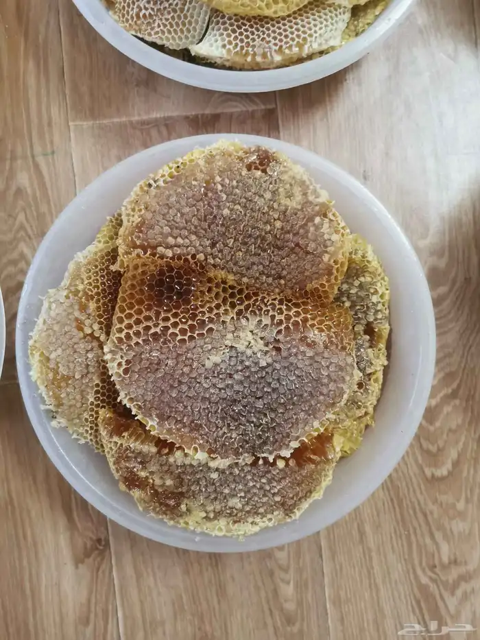 عسل موسم السمره والسلام 15