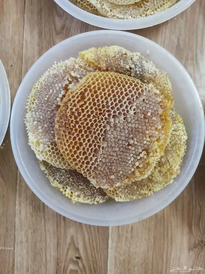 عسل موسم السمره والسلام 11