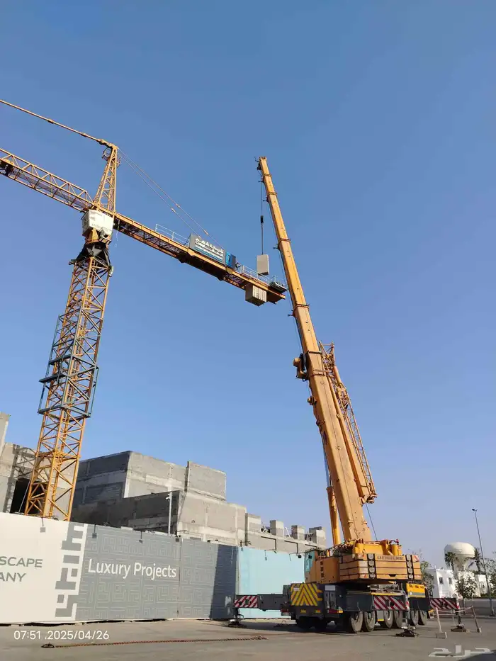 Tower cranes dismantling installation maintenance monthl 0