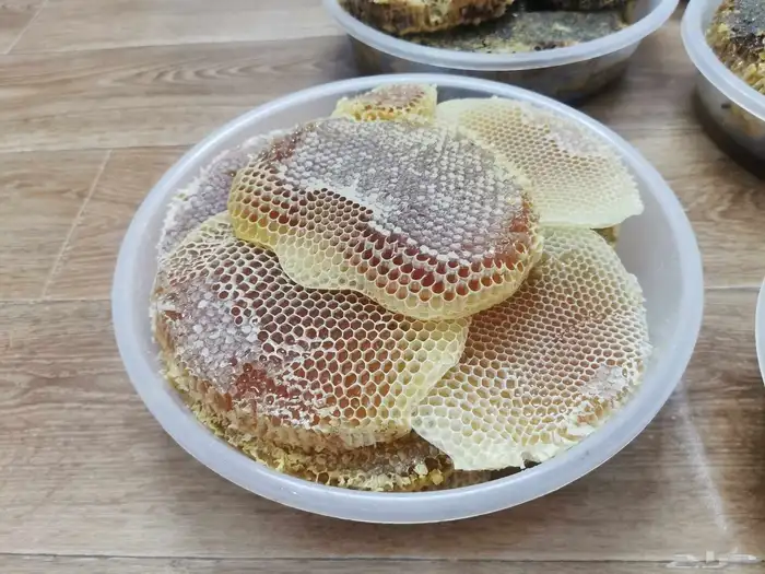 عسل موسم السمره والسلام 3