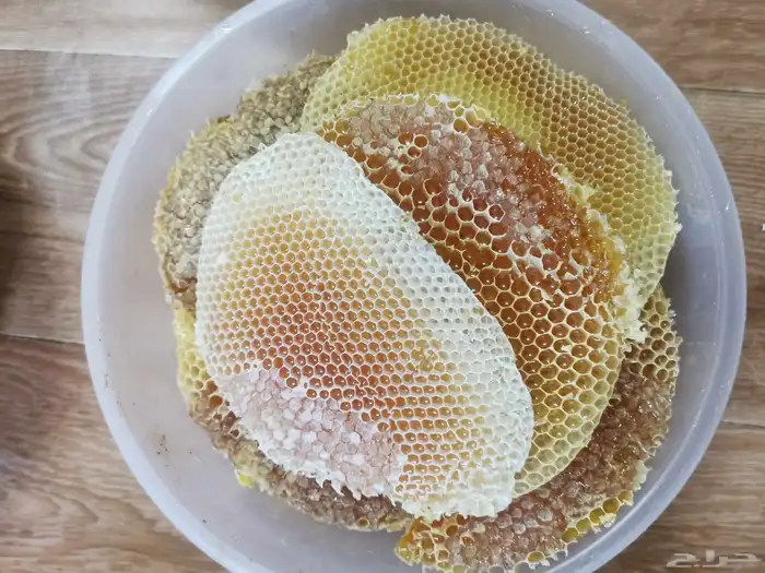 عسل موسم السمره والسلام 2