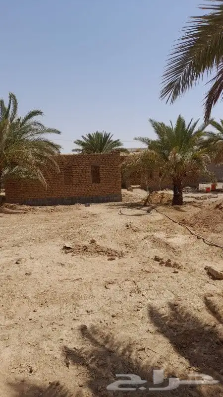 لتنفيذ اعمال التراث 1