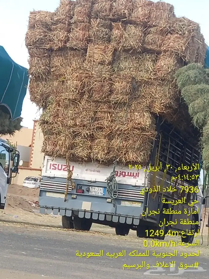 ذره شتوي كوم ممطور محمل علي الدينه 0