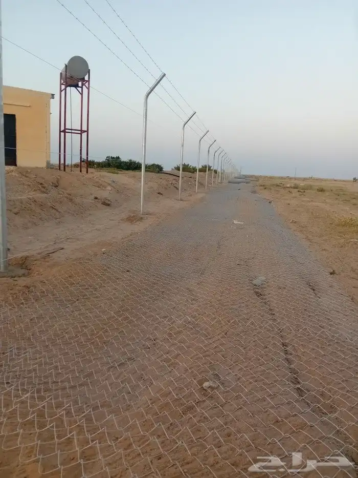 مقول شبوك 0