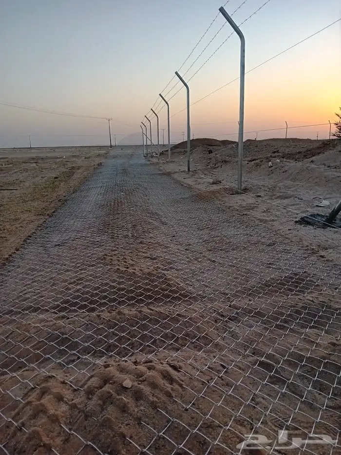 مقول شبوك 1