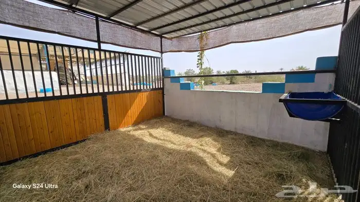 مربط الراحة لايواء الخيل 28