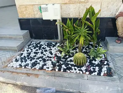 عشب صناعي وطبيعي 1