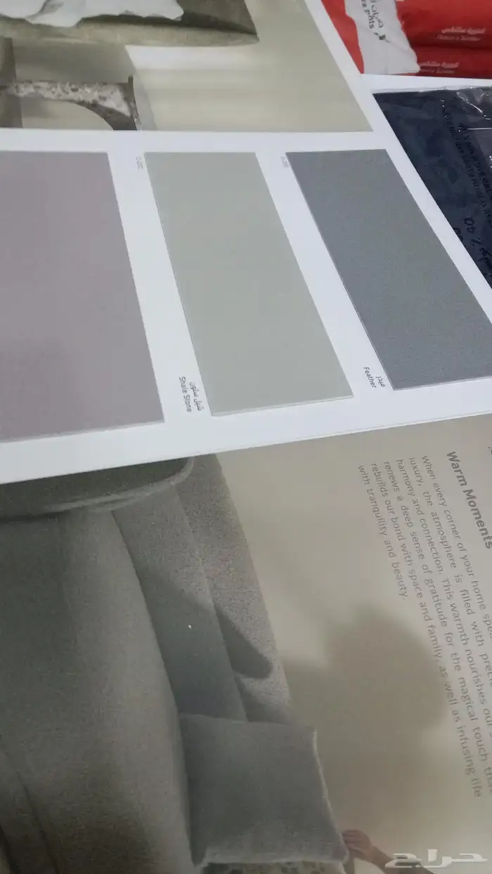 اصباغ جبس ترميم 1