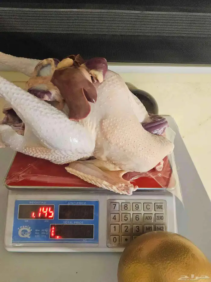 رومي ديك ذبح طازج 2