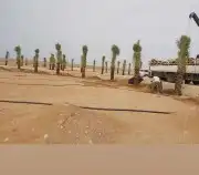 نقوم بتركيب الشبوك والسواتر وتوريد أنخيل وغرسه واشنطن وعربي 9