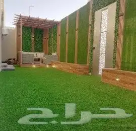 ثيل اخضر طبيعي للبيع درجه اولا 3