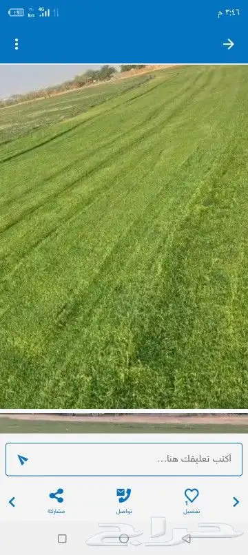 تنسيق حدائق وزراعه التيل 2