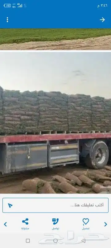 تنسيق حدائق وزراعه التيل 0