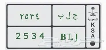 لوحة مميزة لعشاق سوريا مدينة حلب. 0