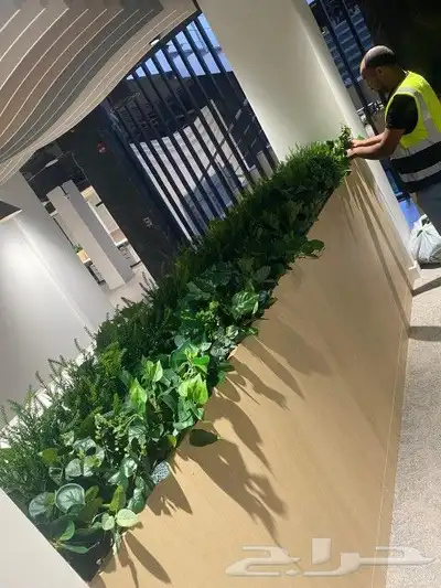 عشب صناعي وطبيعي 2