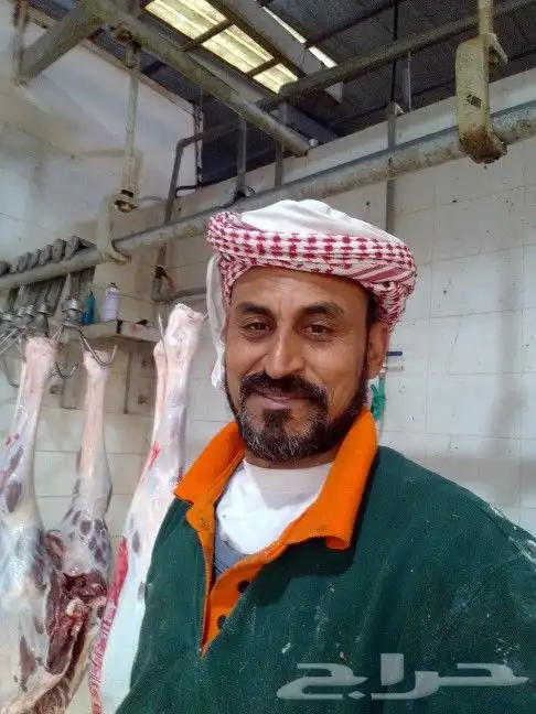 جزار عجالى جملى حاشى اغنام 0