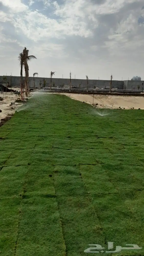 تنسيق الحدائق وترتيب العشب الصناعي والطبيعي بالدمام 2