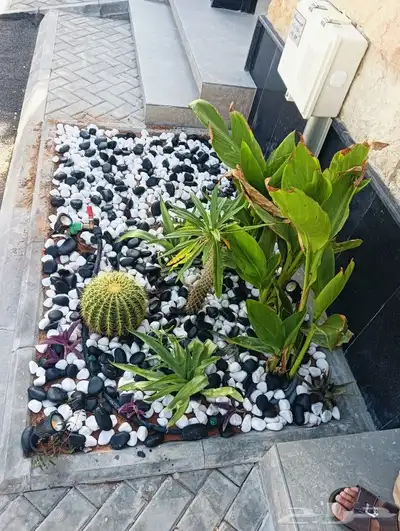 عشب صناعي وطبيعي 0