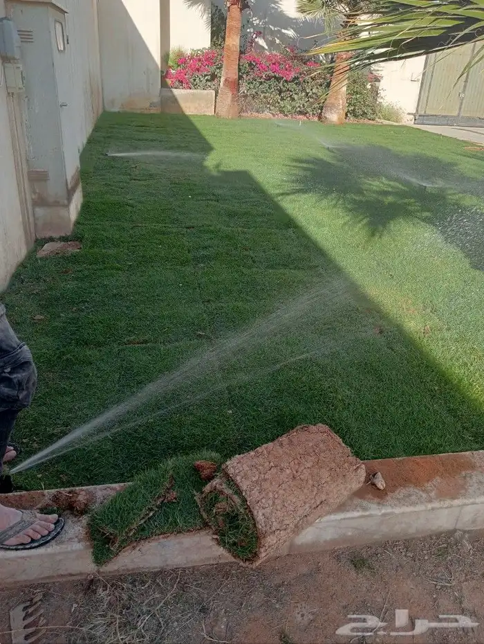 ثيل سئ 2000صافي وطبيعي الموقع الخرج 1