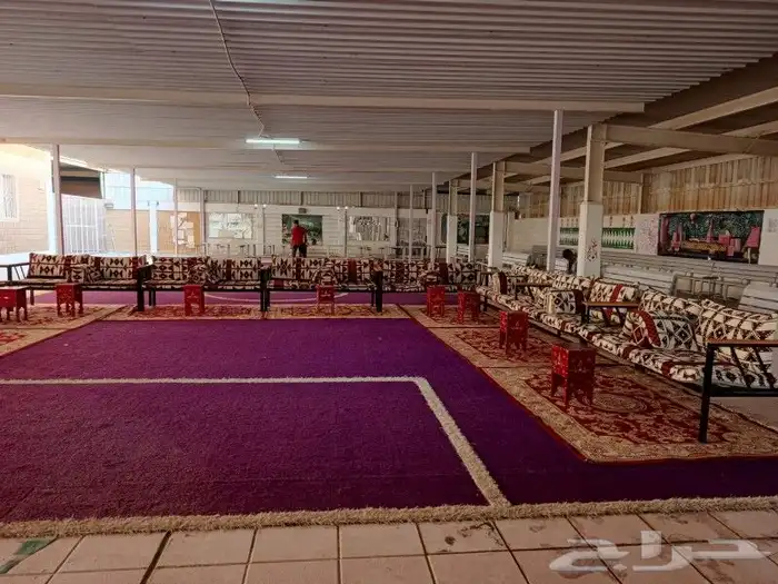 تاجير كنب وكراسي طعام كراسي شفاف كراسي أحمر جلسات ارضيه زل 4