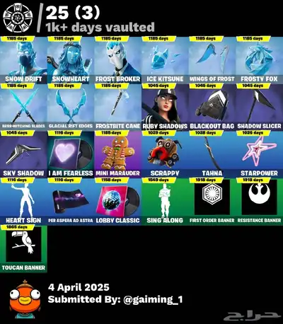 حساب فورت نايت اساسي ضمان مدى الحياة 1