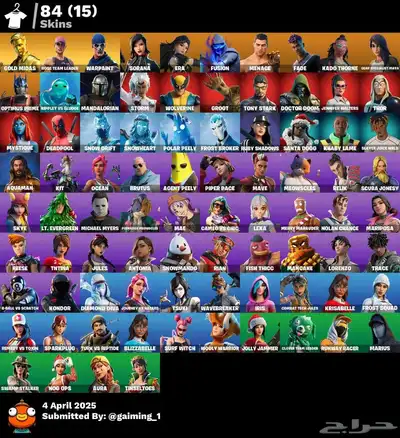 حساب فورت نايت اساسي ضمان مدى الحياة 0