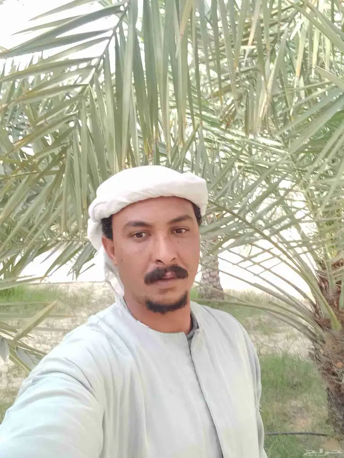 بسم الله الرحمن الرحيم تنسيق الحديق أشجار الزهور الزراع 3