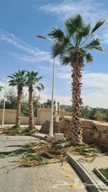 تكريب وا شنطن قس اسيف اليابس صانه عامه 3