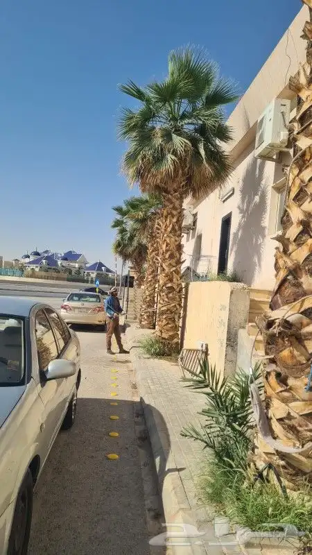 تكريب وا شنطن قس اسيف اليابس صانه عامه 0