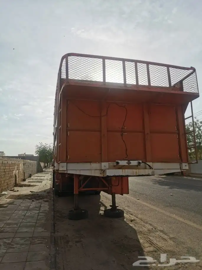 تيدر جوانب الماني 14