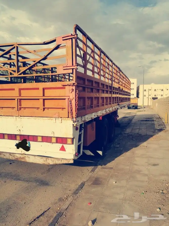 تيدر جوانب الماني 3