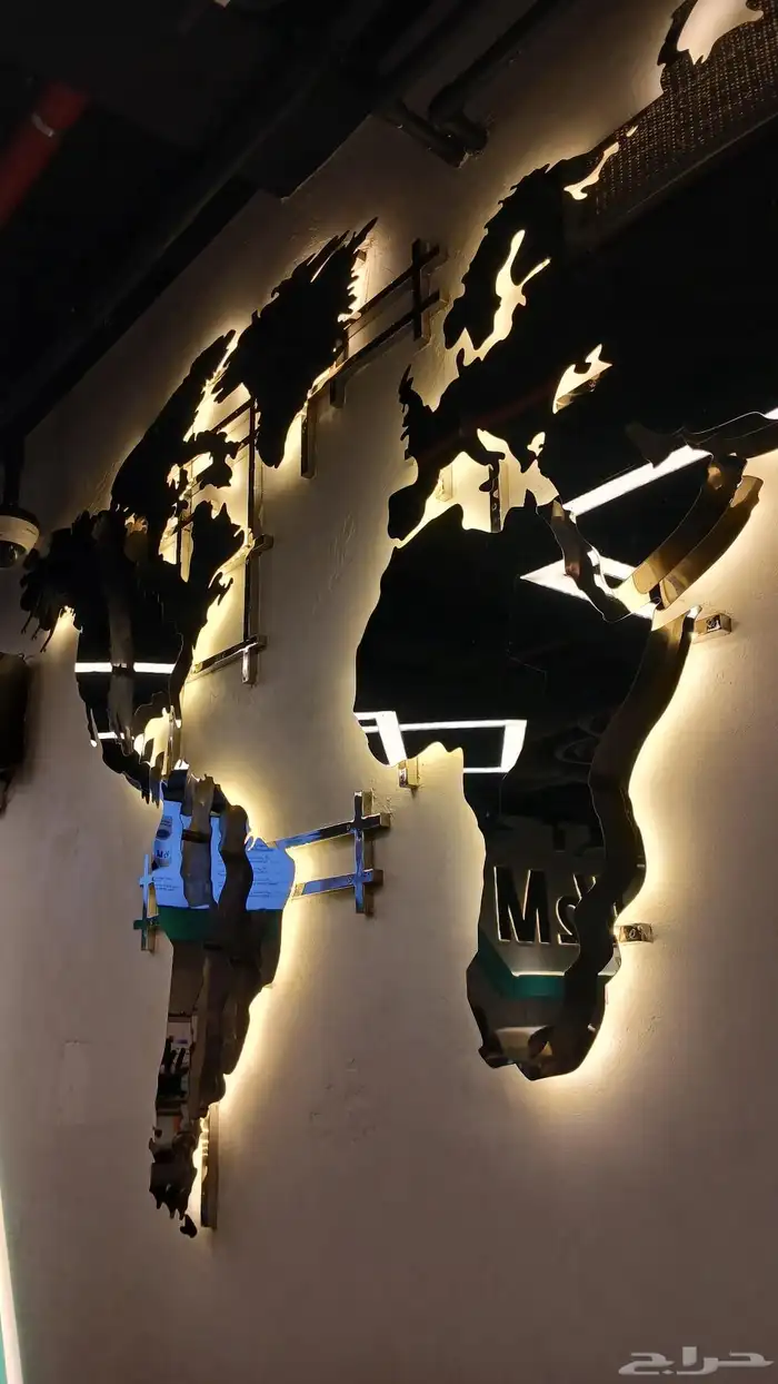 مصور محترف. تصوير 1