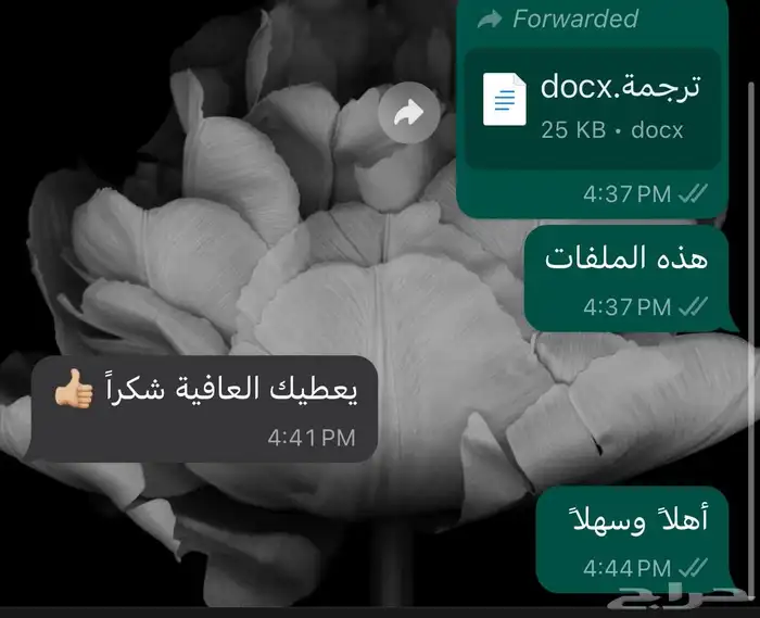 ترجمة معتمدة 8