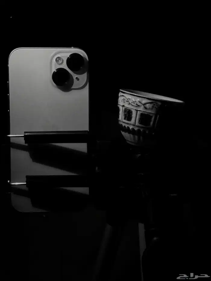 مصور محترف. تصوير 2