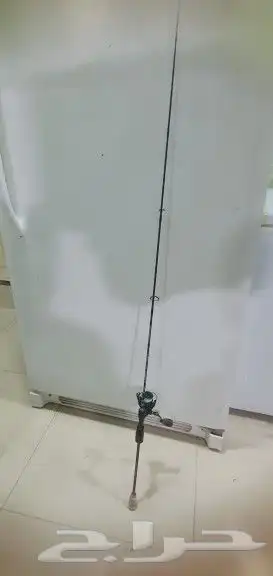 قصبة كاستنج اصليه 0