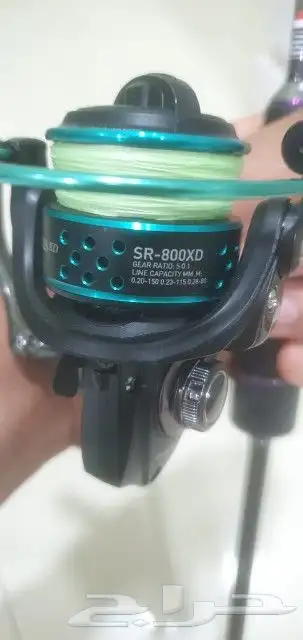 قصبة كاستنج اصليه 4