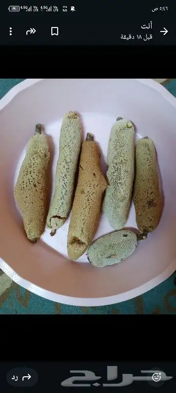 عسل بري حر قطف الموسم وادي يبه 1 2
