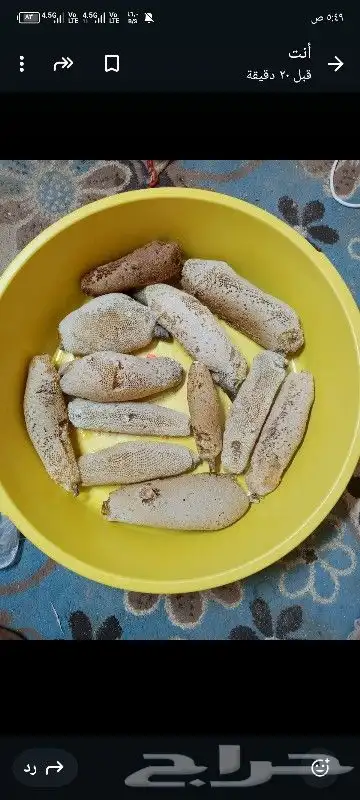عسل بري حر قطف الموسم وادي يبه 1 0