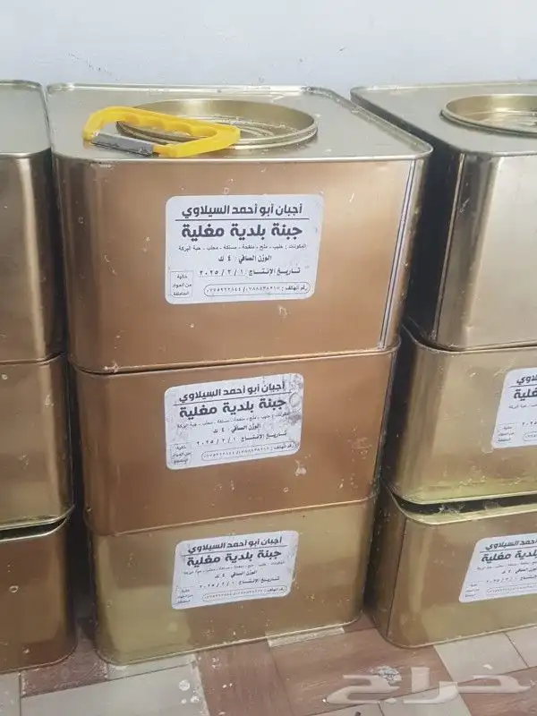 جبنه مقليه عرب 5