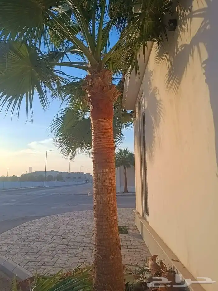 الرياض _المزاحمية _ضرماء _الجله _القويعيه _جميع مناطق المملك 8
