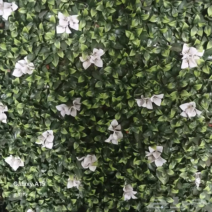 حصي زينه بحص زينه 14