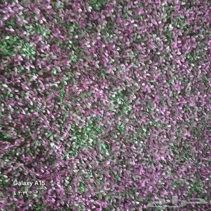 تنسيق حدائق 17