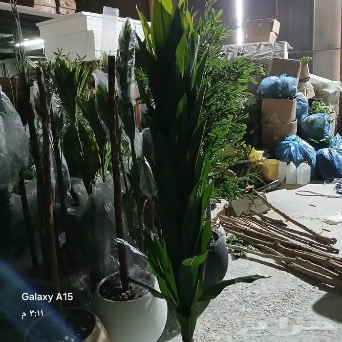 تنسيق حدائق 3
