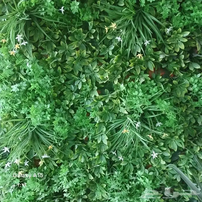 حصي زينه بحص زينه 8