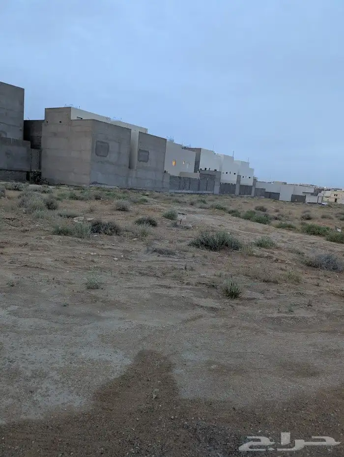 ارضين للبيع  بحي الفرسان  حي الحمراء 1