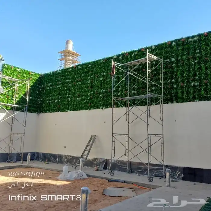 يوجد لدينا جميع انواع النخيل العربي ورش الحشرات 3