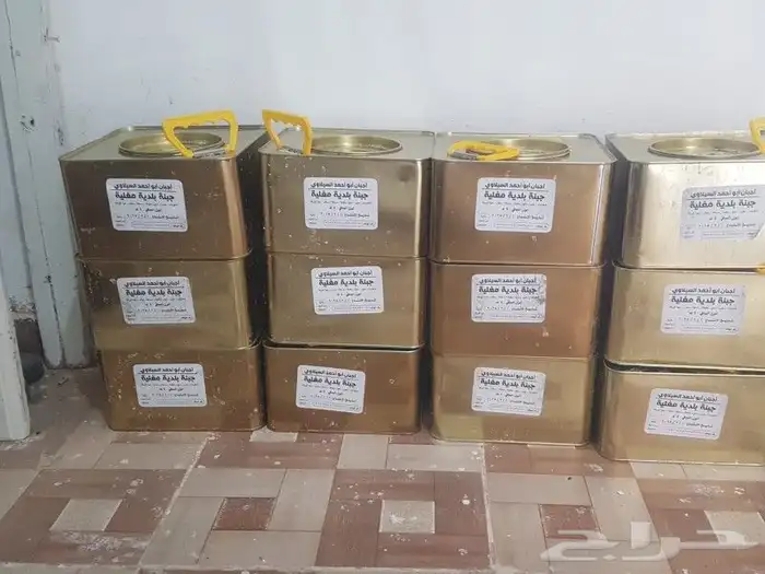 جبنه مقليه عرب 1