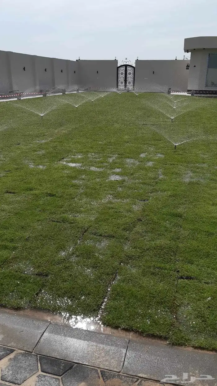 تنسيق حدائق زراعه جميع انواع النخيل وزرعه الطبيعي و الصناعي 13